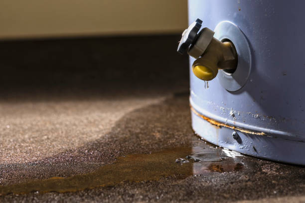 Best Flooded house restoration  in Van Buren, MO
