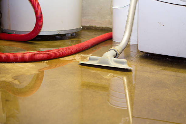  Van Buren, MO Water damage restoration Pros