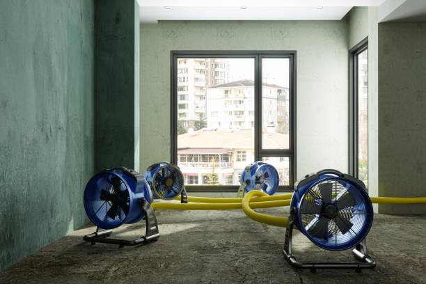Best Professional water damage repair  in Van Buren, MO